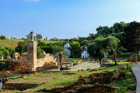 http://visit-2