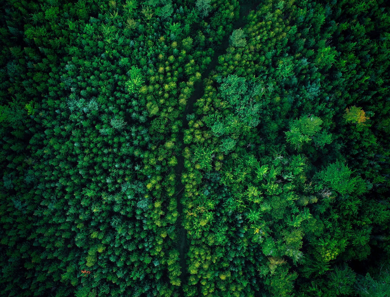 Image-titre-Sustainability-1
